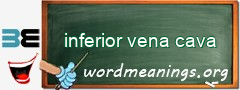 WordMeaning blackboard for inferior vena cava